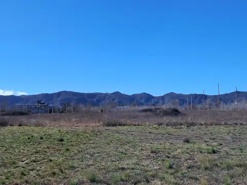 8 terrenos de 1.000m2 c/u