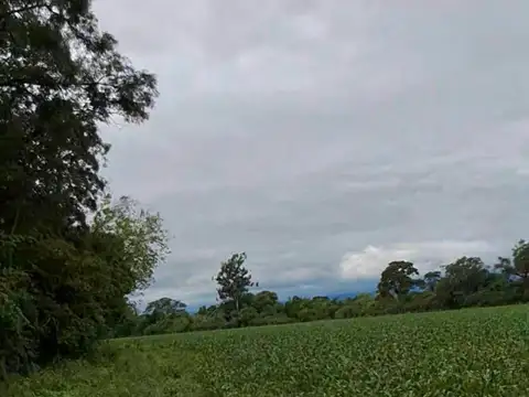 VENDO EXCELENTE CAMPO CON INSTALACIONES VARIAS Y SALA
