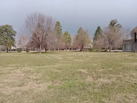 la rinconada