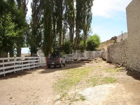 VENTA CAMPO BARILOCHE JACOBACCI - OVEJERO Y GANADERO