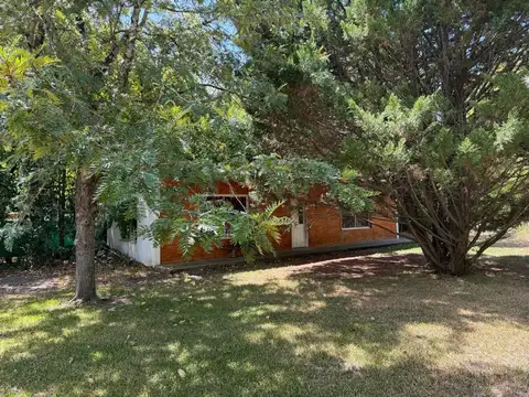 El Lazo 6739