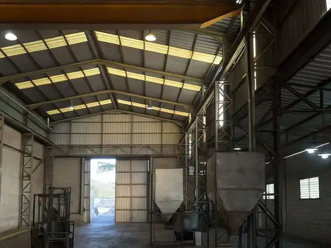 Dr Carlos collivadino 400