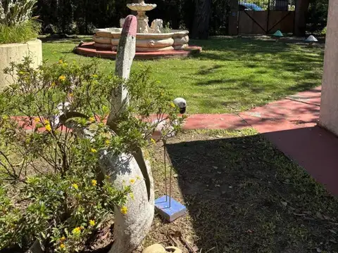 Eucalipto Y Zorzal. Mirador Del Rio