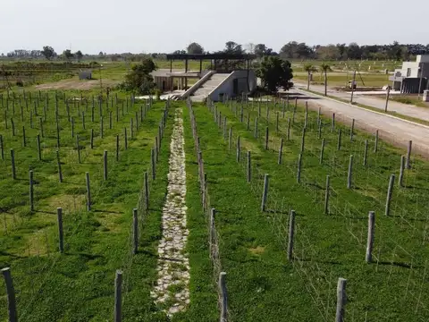 Terreno en Venta de 540,0 m2
