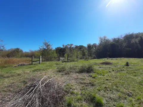 Terreno en Venta 56  mts Fondo