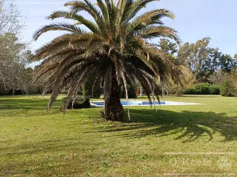 Casa Quinta El Pato de 1 HA
