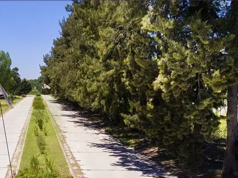 St THOMAS CENTRO - Dos lotes a la venta juntos o separados