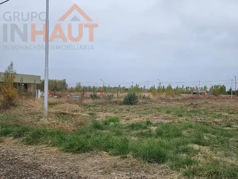 Se vende terreno en  Allen - La Agustina