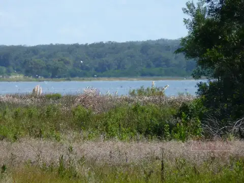 Terreno en Venta en José Ignacio, USD 115.000