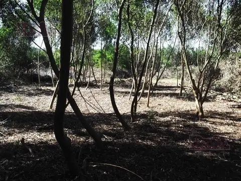 Venta - Terreno en La Juanita