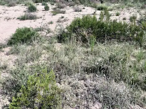 VENTA TERRENO Ruta Provincial 82 y Saenz Peña