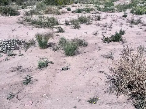 Ruta Provincial 82 y Roque Saenz Peña