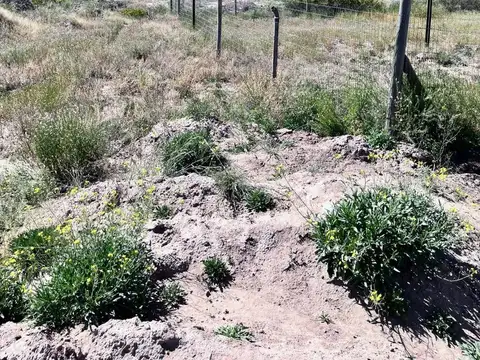 Ruta Provincial 82 y Roque Saenz Peña