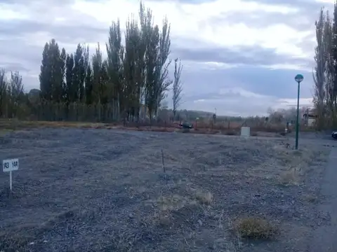 Canales de Plottier 100