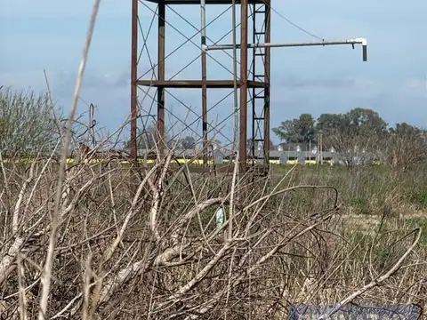 Campo en  San Pedro, Provincia de Buenos Aires, Argentina.