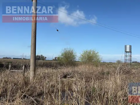 15 Hectareas  Gobernador Castro Ruta 9  Km180 Aprox