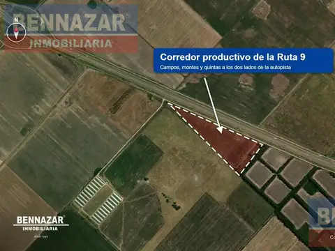 15 Hectareas  Gobernador Castro Ruta 9  Km180