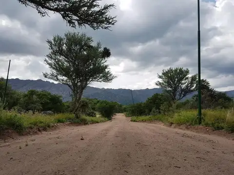 Terreno en Venta de 1477,0 m2