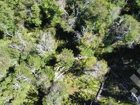 VENTA TERRENO 600 M2 - Bº KALEUCHE ALTO - SAN MARTIN DE LOS ANDES