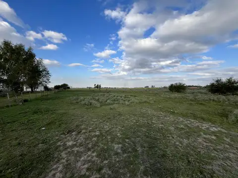 Campo en  Alvear
