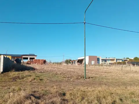 Azparren 100