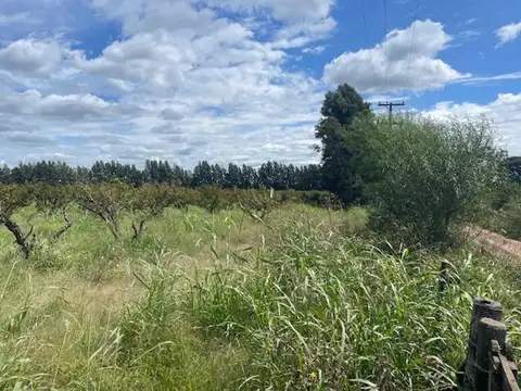 Campo en venta de 12,5 has agrícolas
