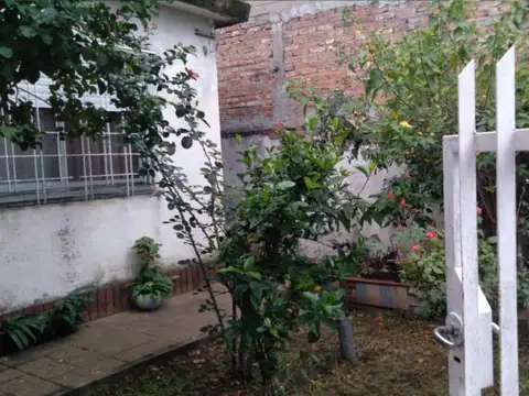 Las Camelias 6900