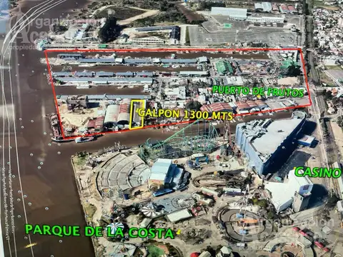 Parodi 75 - Tigre - Puerto de Frutos