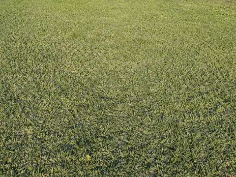 Terreno en Venta en Yerba Buena, USD 63.000