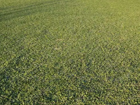 Terreno en Venta de 902,0 m2