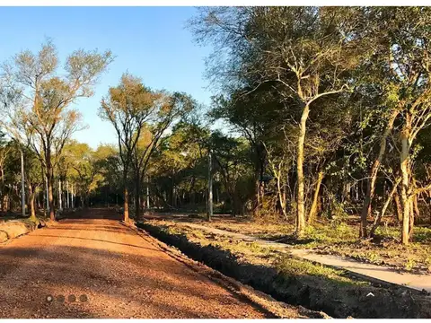 PARQUE ARBOLEDAS