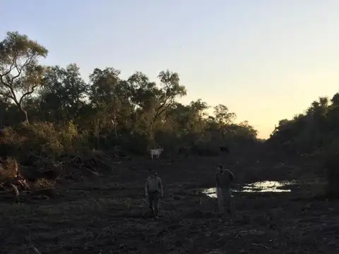 Campo en Venta de 875  ha