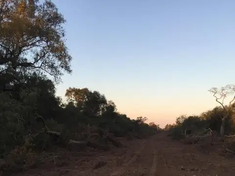 Campo en Venta Ganadero