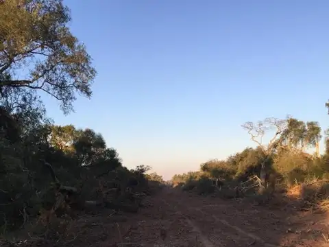 Ruta 95 Km 1246.5