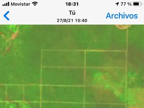 campo ganadero de 875 has. alambrado a 24 kms de Castelli