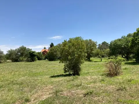 Terreno en Venta 58  mts Fondo