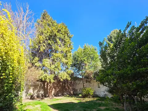 Departamento en Alquiler de 6 ambientes