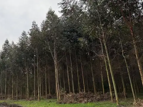 Terreno en Venta de 200000,0 m2