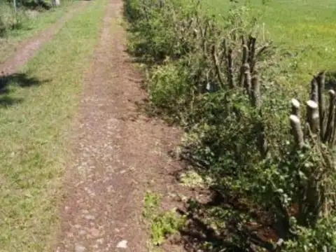 Campo en venta - 18.600Mts2 - Abasto