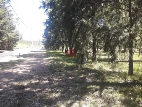 Punta del Este - Punta Ballena Fraccion 8 Has