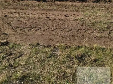Terreno en Venta en Cañuelas Urbano, USD 30.000