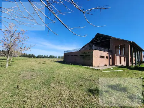 ruta 205 y 6