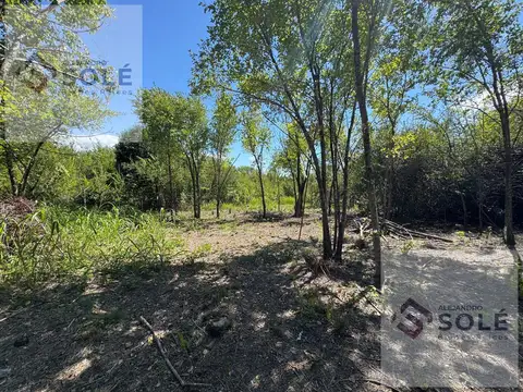 Terreno en Venta 20  mts Fondo