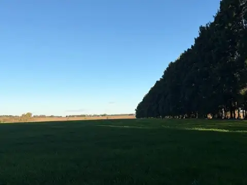 Campo en Venta de 15  ha