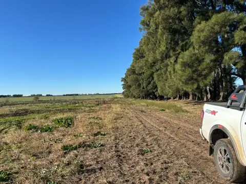 Campo en Venta Agrícola