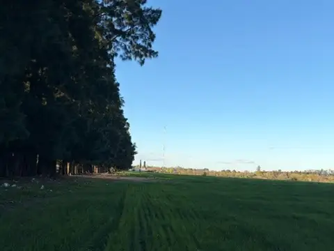 Oportunidad campo con acceso asfaltado y acceso a luz.