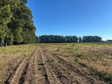Campo en Venta de 15  ha