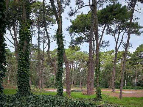 Terreno en Venta en Villa Gesell, USD 37.000