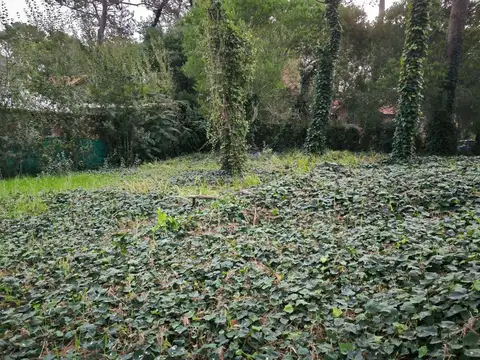 Terreno en Venta de 442,0 m2
