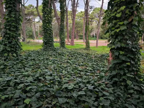 Terreno en Venta, FOT 0,6